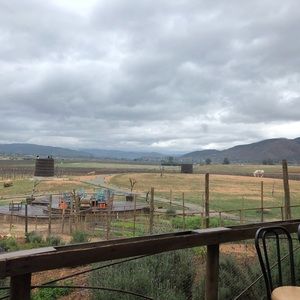 Meet your Posher, Frank